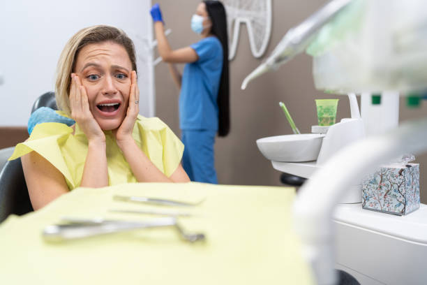 Best Emergency Dental Services for Seniors in Imlay City, MI